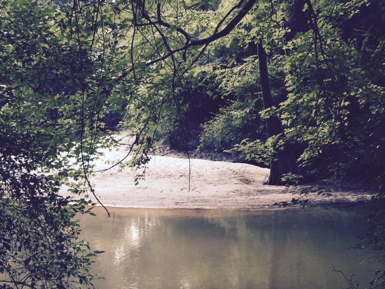 The River Chalet Folsom Bagian luar foto